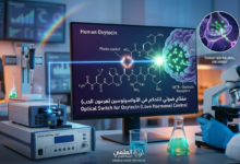 رسم توضيحي لخلية عصبية تتفاعل مع شعاع ضوئي ومفتاح ضوئي للتحكم في هرمون الأوكسيتوسين (هرمون الحب).