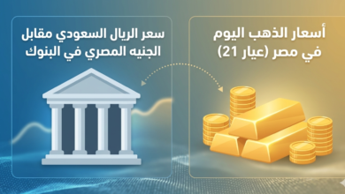 سعر الريال السعودي مقابل الجنيه المصري اليوم