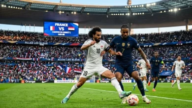 فرنسا ضد العراق