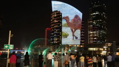 اليوم الوطني السعودي 96 المملكة من رؤية المؤسس إلى رؤية 2030