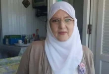 شمس البارودي