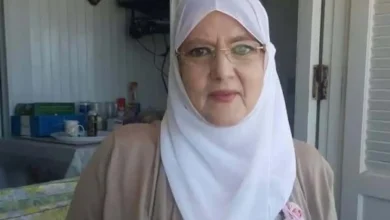 شمس البارودي