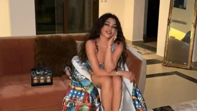 هيفاء وهبي تطرح سيبو سيبو