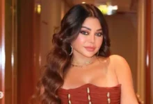 هيفاء وهبي ومحمد وزيري الحكم بالسجن والغرامة