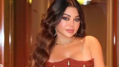 هيفاء وهبي ومحمد وزيري الحكم بالسجن والغرامة