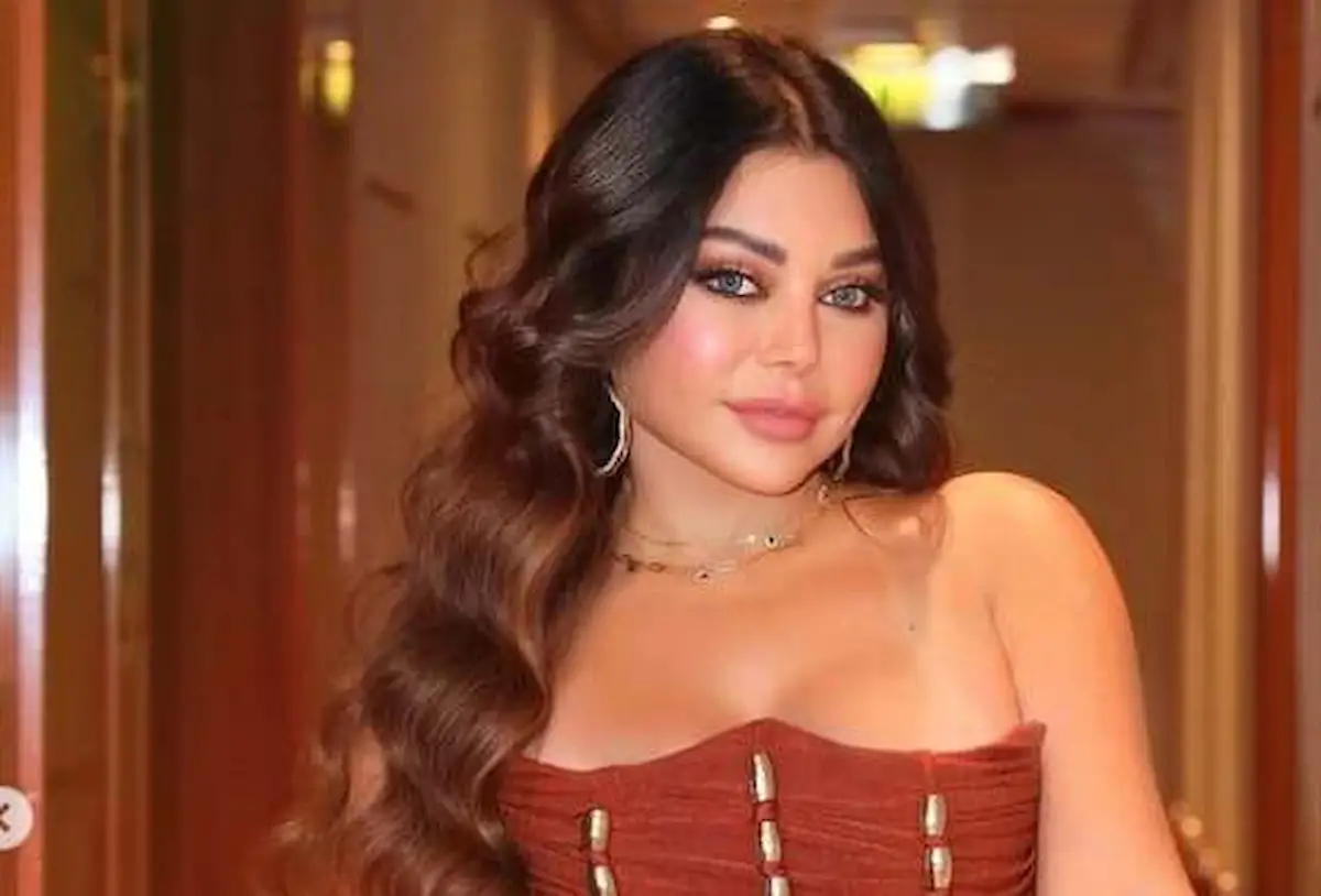 هيفاء وهبي ومحمد وزيري الحكم بالسجن والغرامة