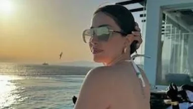 من هو زوج نسرين طافش